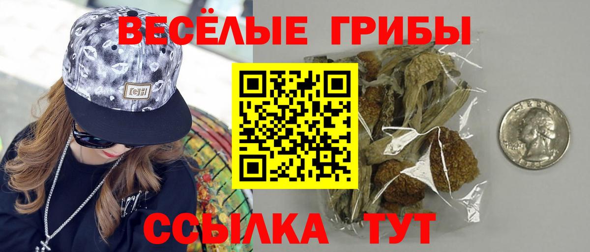 Псилоцибиновые грибы мицелий Тутаев